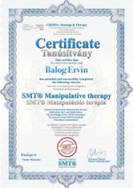 SMT(R) certificate